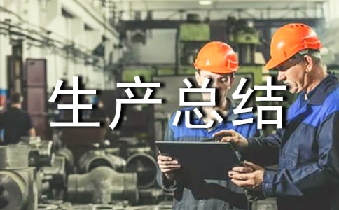 粮食生产总结报告