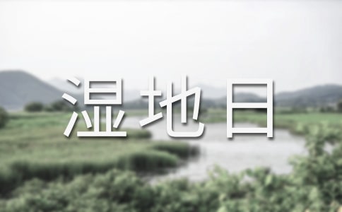 关于湿地日黑板报图片大全