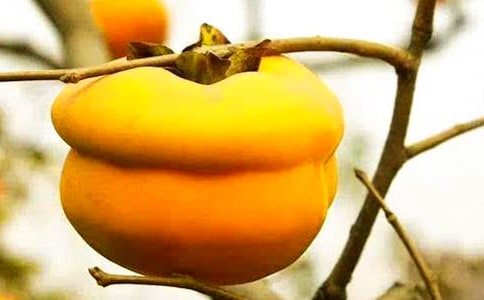 ѩ���Ӷ����
