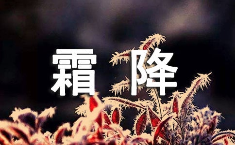 ˪��������¼5ƪ