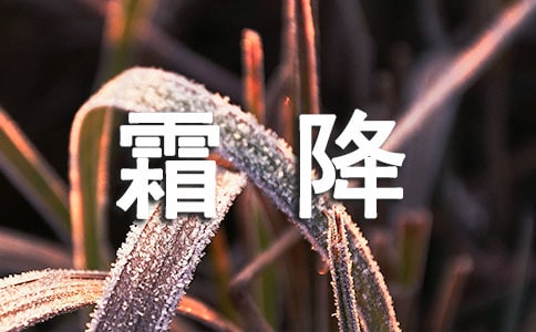 ����˪���ľ�����¼