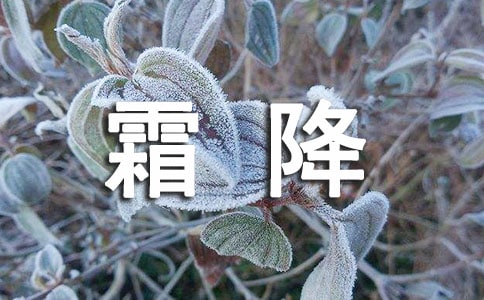 ��д˪��������������¼