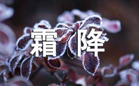 �����ĵ�ӭ��˪����¼