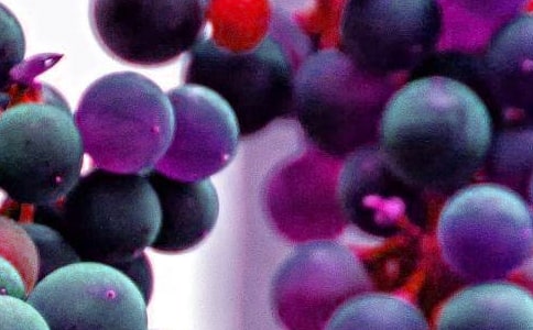 ˮ������Ա�������ƶ�