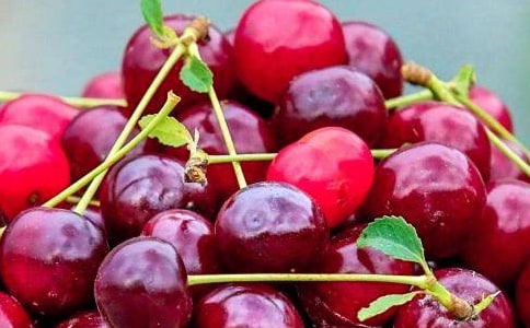 ˮ��������ѡ740�䣩