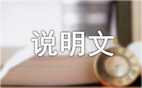 �����������ҵļ��ڡ�˵��������