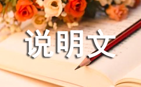 �ǻ�����˵����