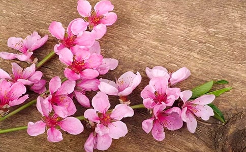 �һ���ľ�ڶ���ʱ��ѧ���