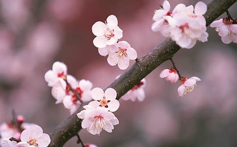 ���ġ������һ�ˮ�������ѧ���