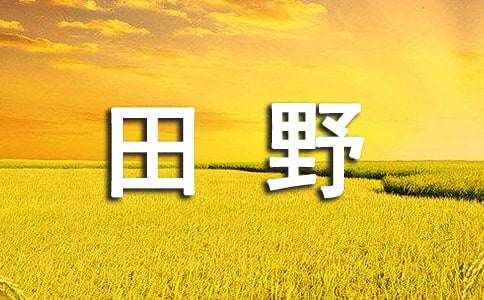 描写田野的语句