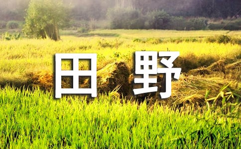 《田野主人豁豁耳》读后感范文250字