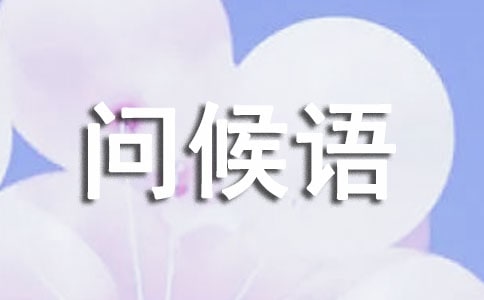 2015�����ʺ�����Ŵ�ȫ