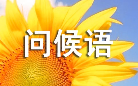 ����2015�궬��ů���ʺ���