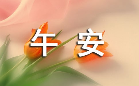 �������������簲��¼����49��