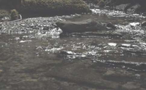 读《小溪流的歌》有感15篇