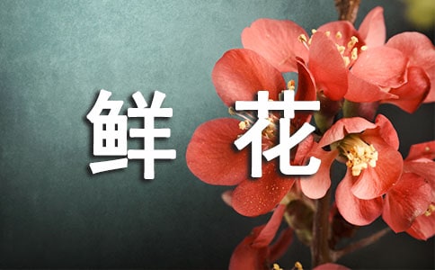 �ʻ�������¼