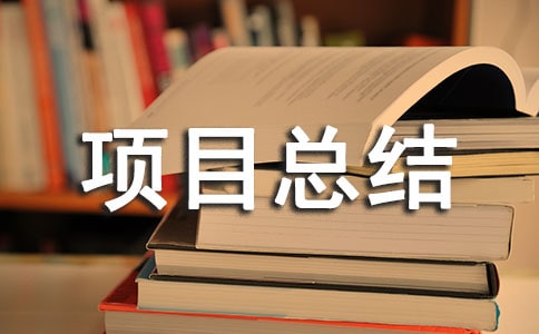 个人项目总结