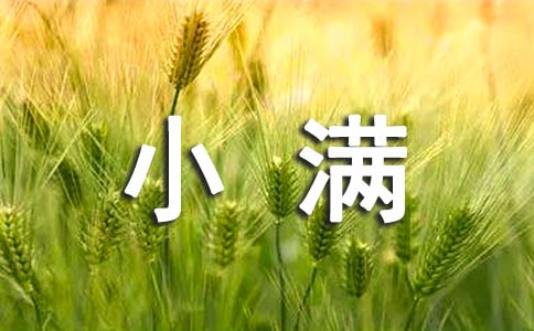 С����¼����ѡ40�䣩