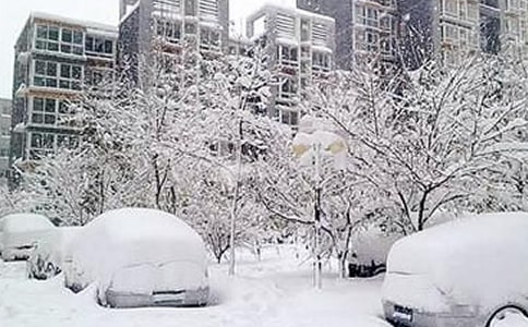 雪灾调查报告范文1800字