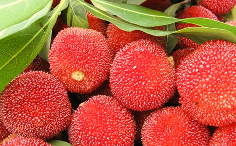 �й�����д��÷�ľ���