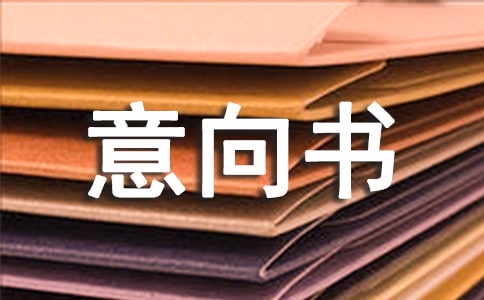 网站规划设计制作意向书模板