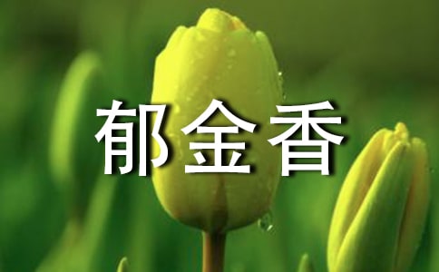 ��д�������Ψ���̾�