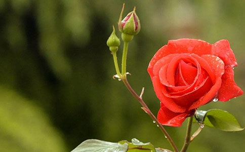 ��д5�¼��ڵľ���170��