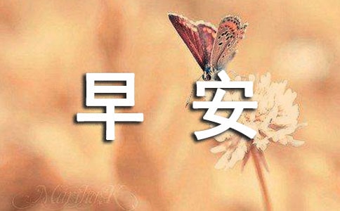 ����������ů���簲������¼49��