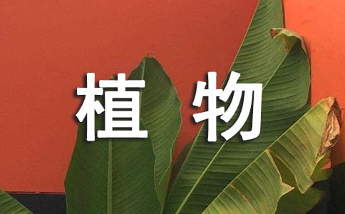 ֲ��ϸ����ѧ��ƣ�ͨ��10ƪ��