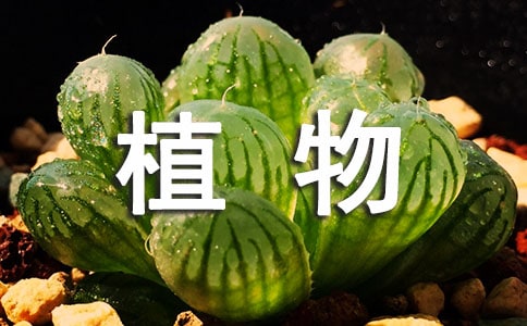 ��ֲ������塷��ѧ���