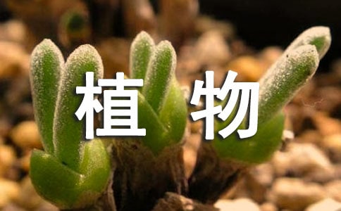 ��ֲ�������а취����ѧ��ƣ�����15ƪ��