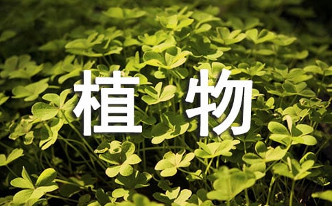 ��ֲ�������а취����ѧ���