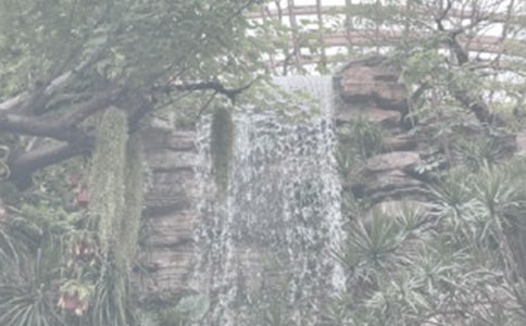 �ι�ֲ��԰�ĵ÷��Ĵ�ȫ