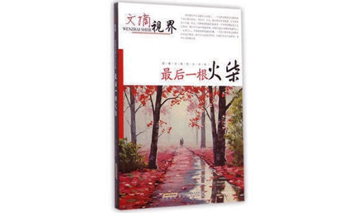 最后一根火柴教学设计范文