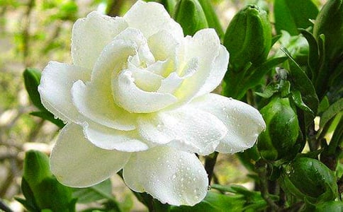 ���ӻ�����ֳ������ע������˵��