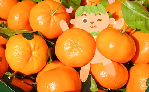 ������ζ�����졷�����