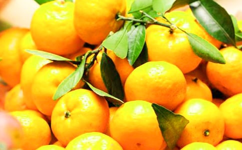 橘子味的夏天读后感(合集15篇)