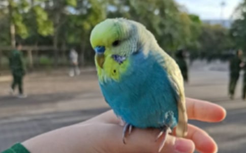 ������Ȧ���ĵ�˵˵125��