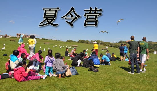 ����Ӫ���뺯����[5ƪ]